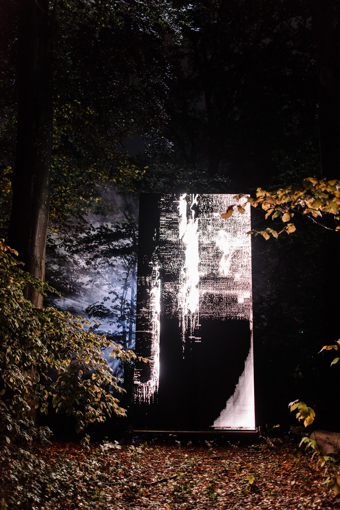 Under the Surface — Photo by Stef van Oosterhout