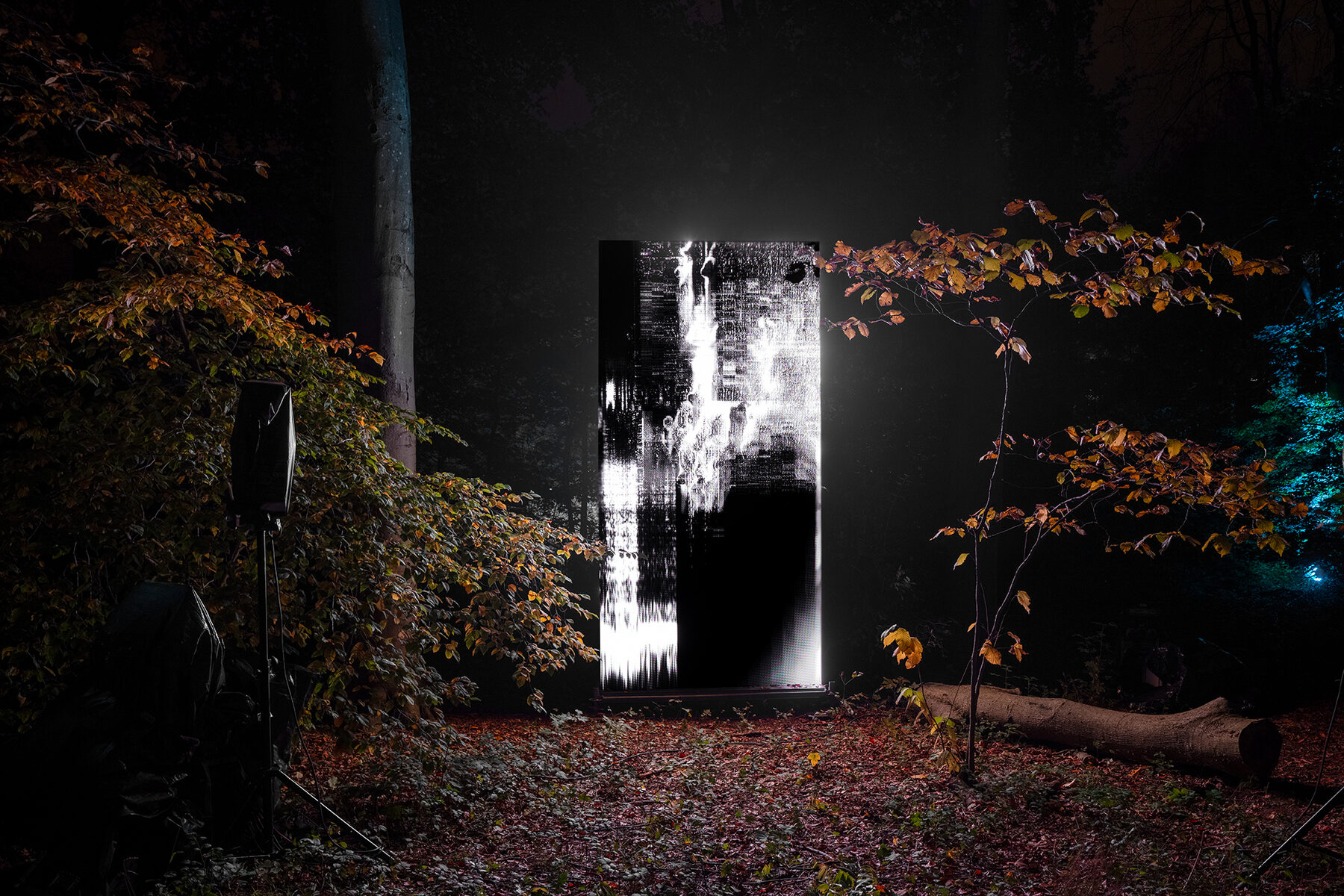 Under the Surface — installation detail